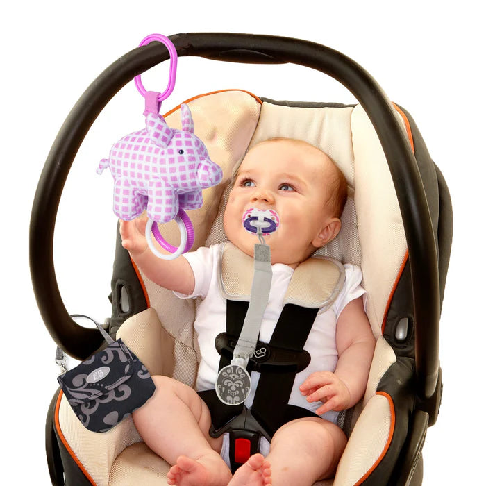 Lillybit Baby Pacifier Pouch and Strap Clip 2 Pack